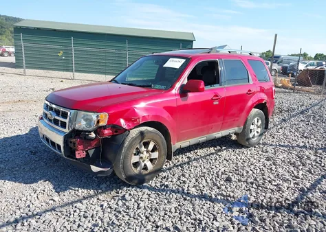 2010 Ford Escape Limited z USA, uszkodzony, nr VIN 1FMCU9EG2AKD31501